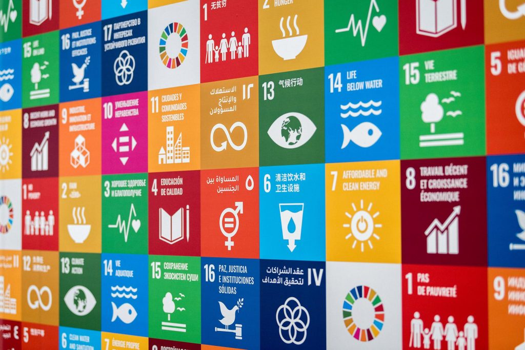Sustainable Development Goals (SDGs)