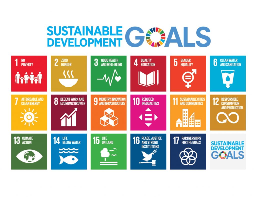 i 17 obiettivi di sviluppo sostenibile
